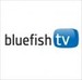 bluefishtv