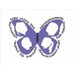 butterfly.dreams