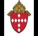 dioceseofraleigh