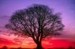 dispensationgrace