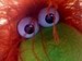 douglasthepuppet