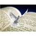 fromholyspirit