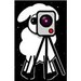 lambstv