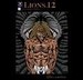 lions12