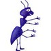 mr.ant