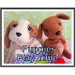 puppiesplaytime
