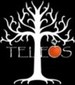 teleosyouth