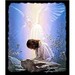 thegoodnewsministry