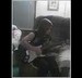 therocksstar