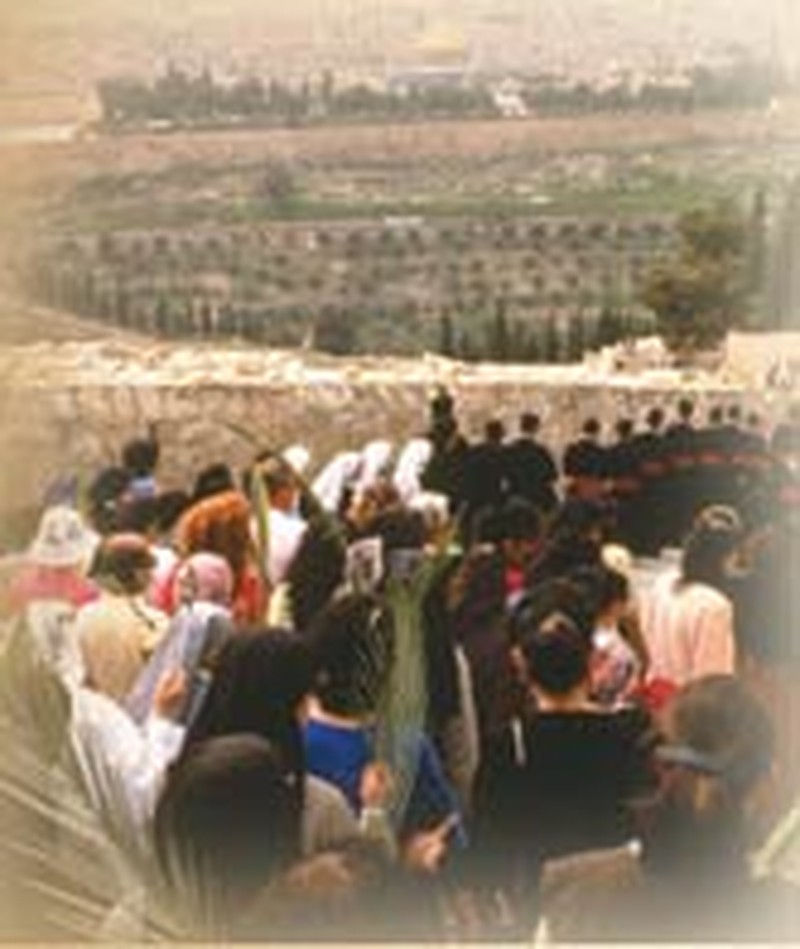 Egeria's Pilgrimage Blessed the Ages
