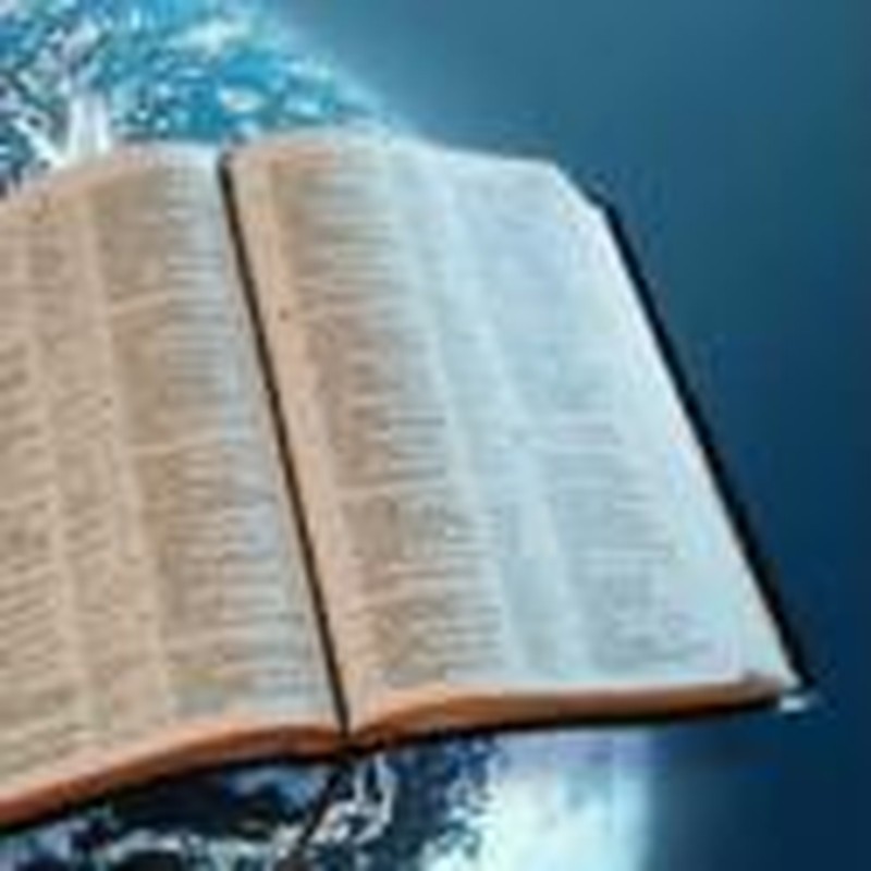The Witness of Scripture: Work of Men, or Word of God?
