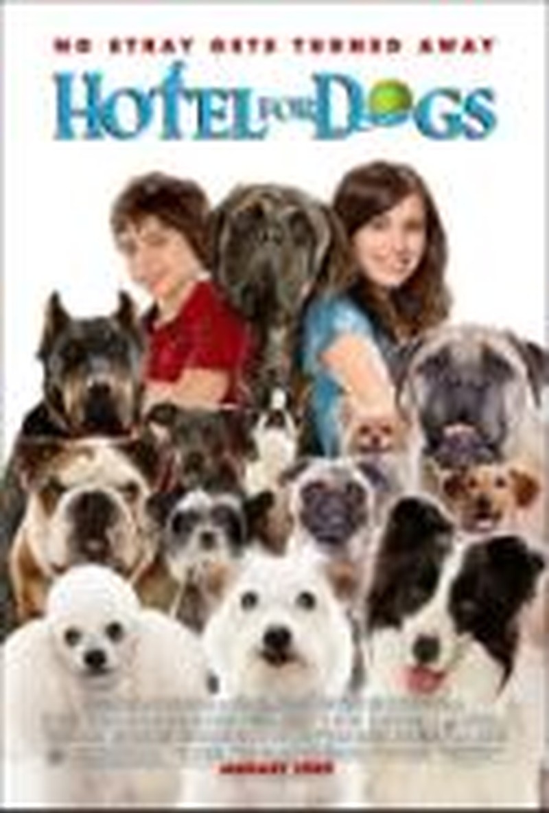 Adoption-Oriented <i>Hotel for Dogs</i> Worth Checking Into