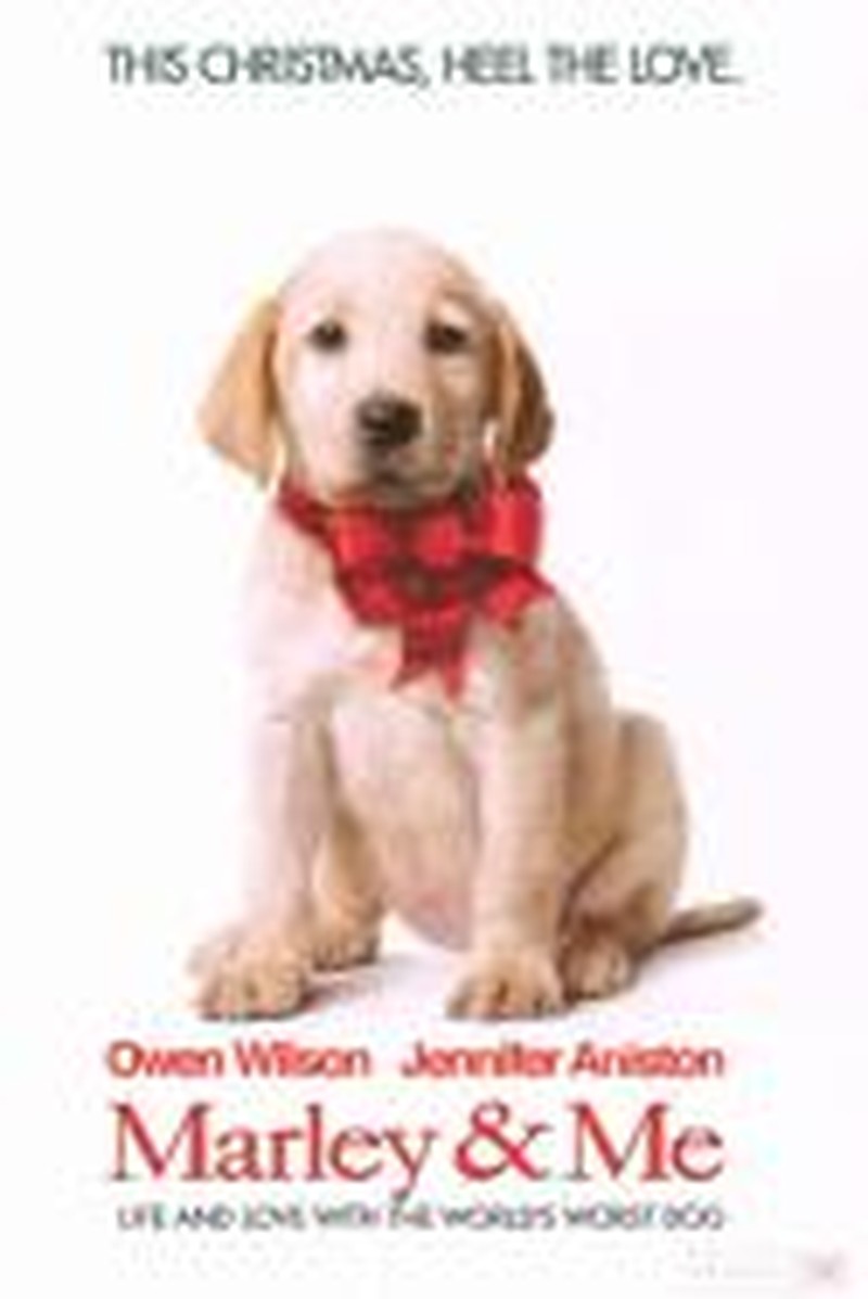 Audience's Emotions Are on the Leash in <i>Marley & Me</i>