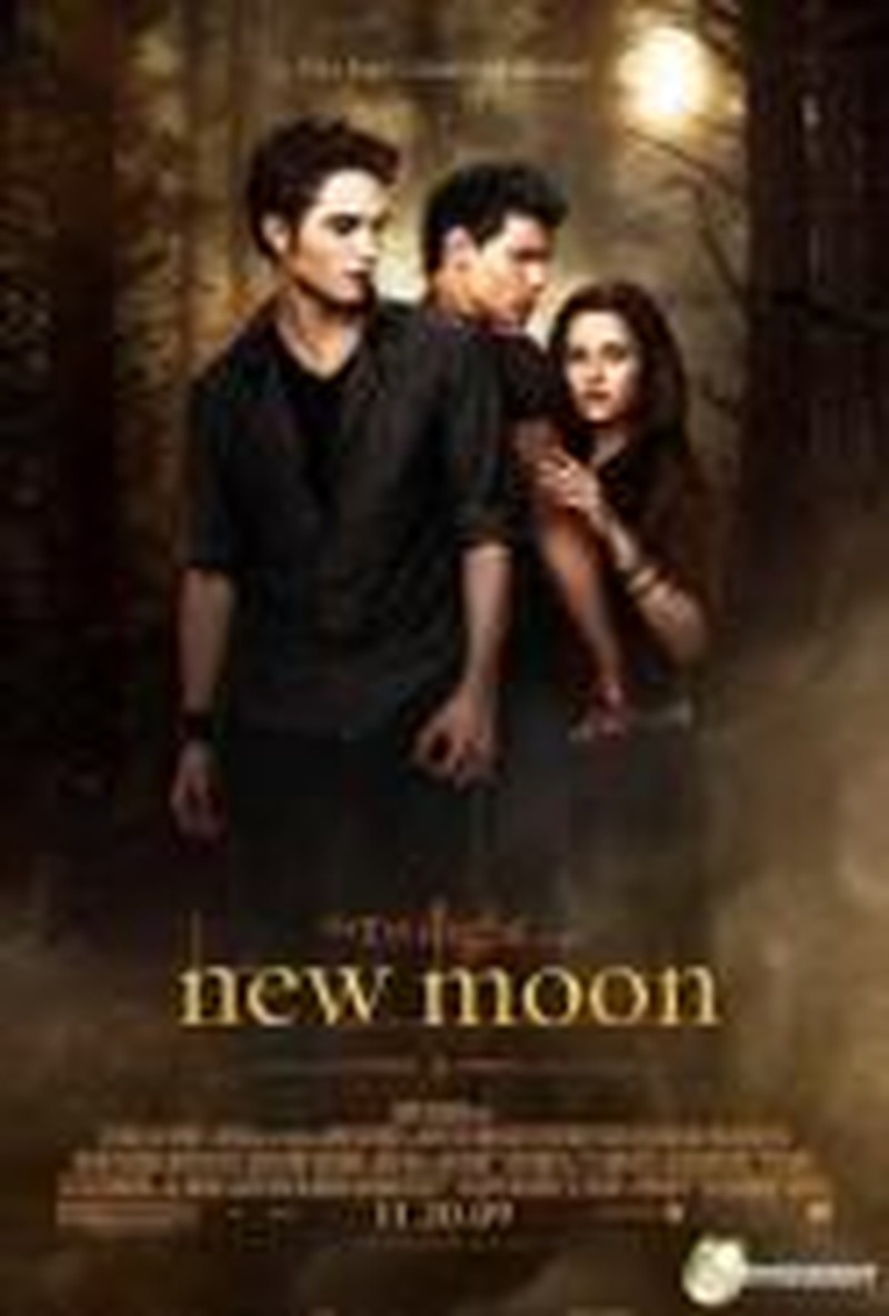 Flirting with Danger: <I>New Moon</i>'s Victim Stereotype