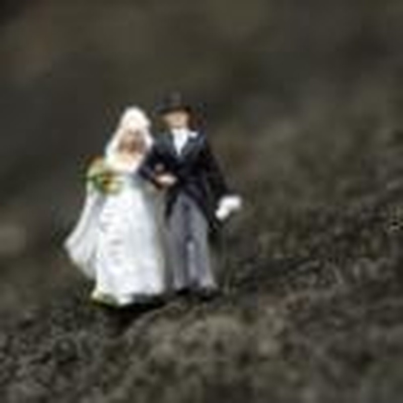 Will Marriage Endure?