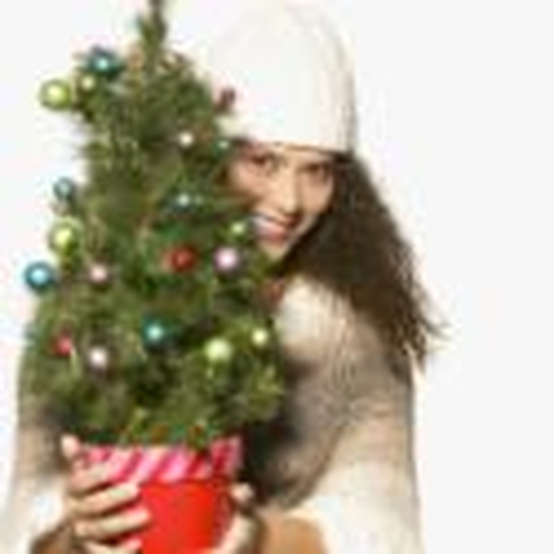 10 Holiday Tips for the Working Woman