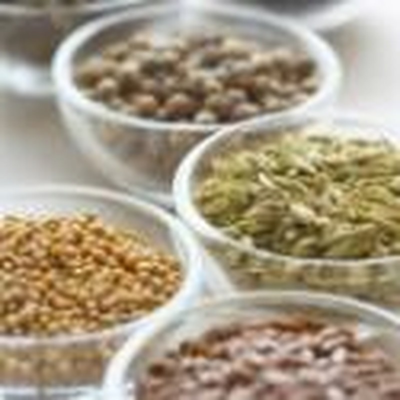 Financial Mustard Seeds Christian Finances