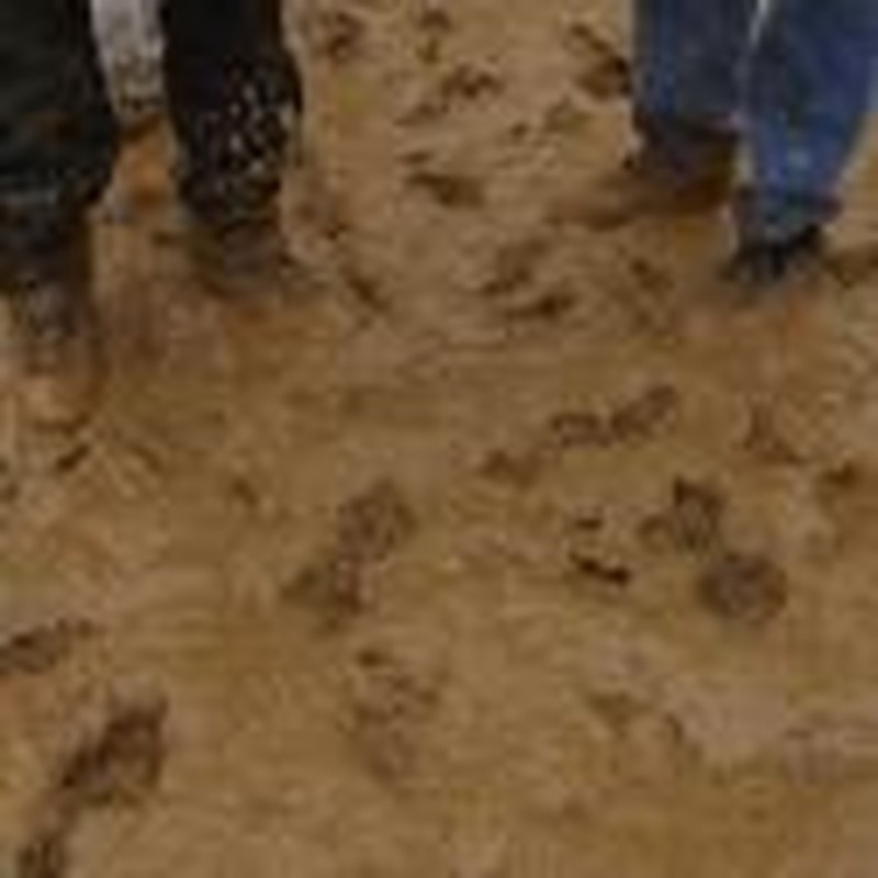 Get Your Feet Dirty as You Follow Jesus