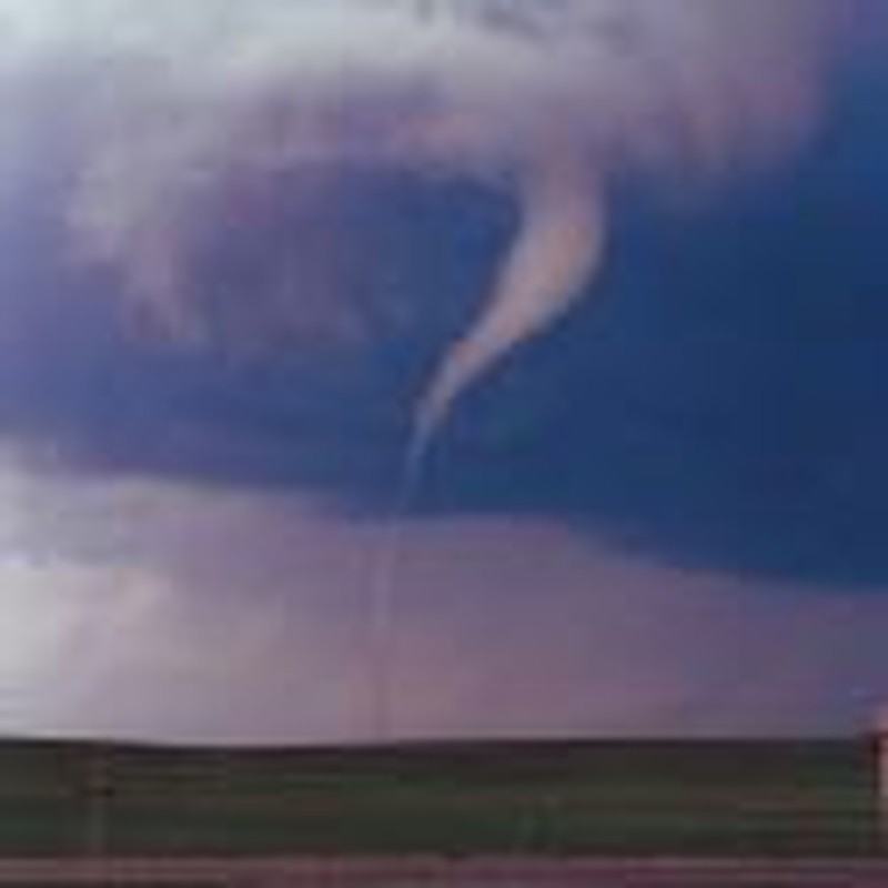 A Big Tornado and a Small Sniffing Dog