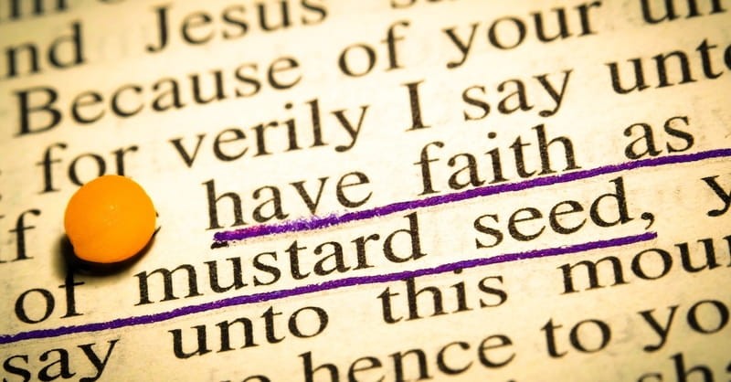 What is the Meaning of the Parable of the Mustard Seed (Matthew 13:31 ...