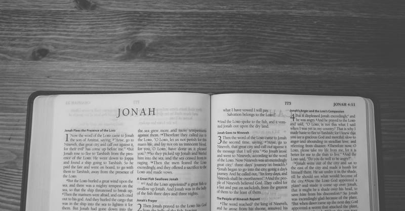 How is the Theme of Salvation Seen in the Book of Jonah?