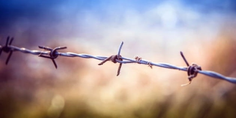 The Border Crisis: A Human Story