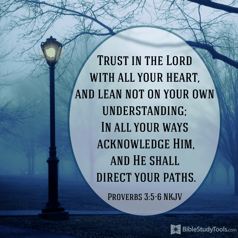 Lean not on your own understanding your daily verse