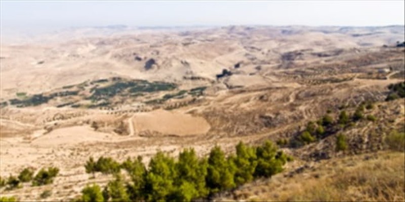 The View from Mount Nebo: Learning from Moses' Fall from Leadership
