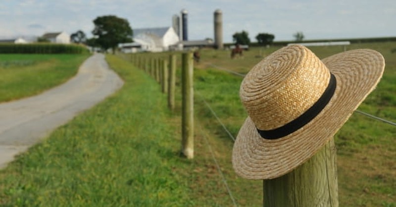 3. Mennonites are actually not Amish.
