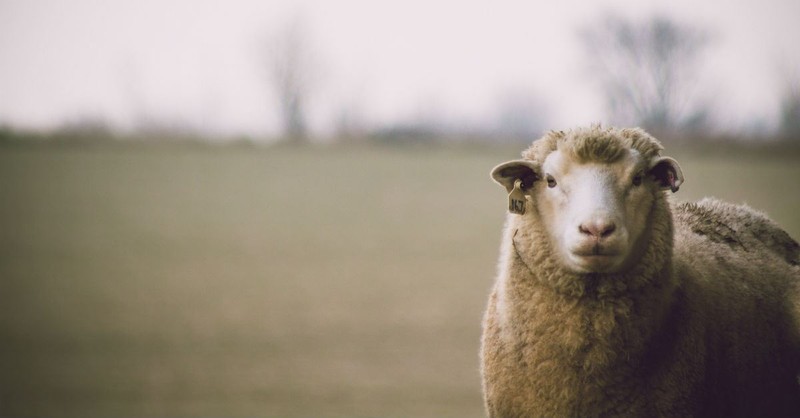 What Does It Mean that God Is Jehovah-Jireh?