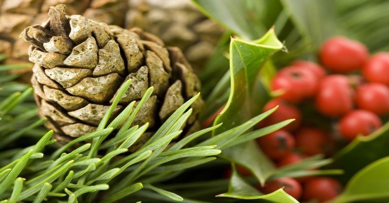What is an Advent Wreath? Meaning of the Advent Wreath and Candles