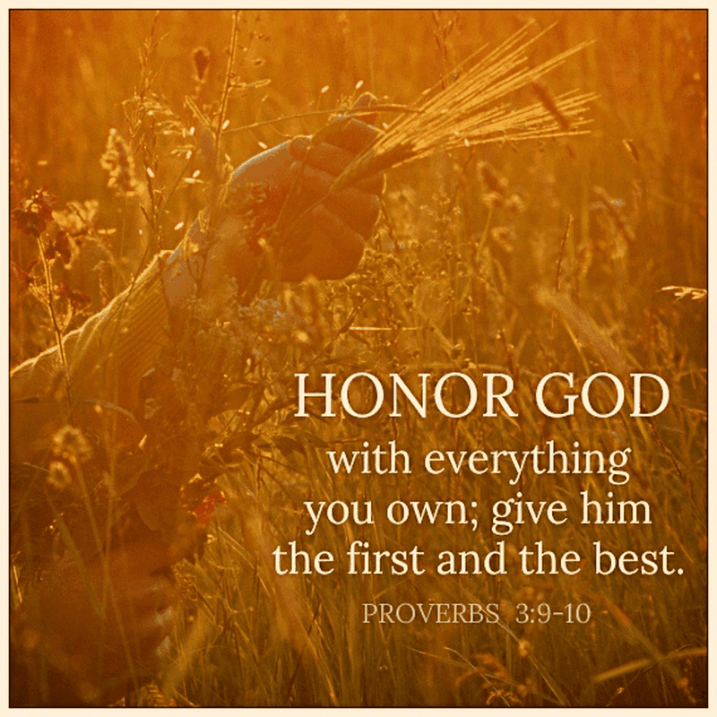 Honor God With Everything Your Daily Verse