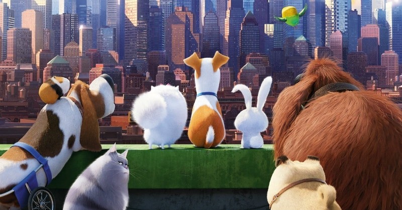 <i>The Secret Life of Pets</i> is for the Birds... and Dogs, and Their Humans
