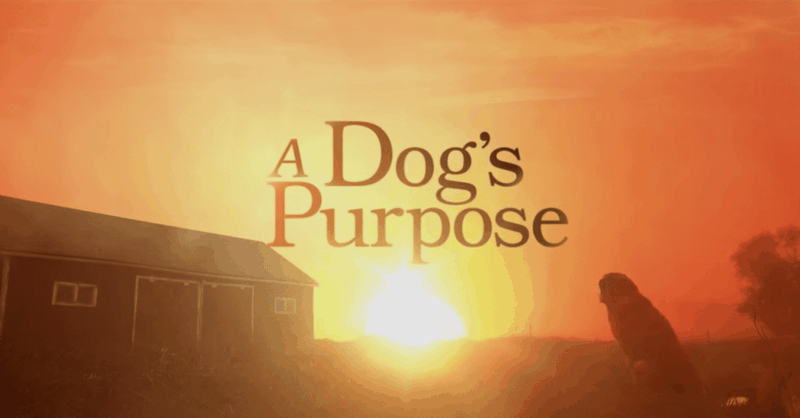 a dogs purpose youtube