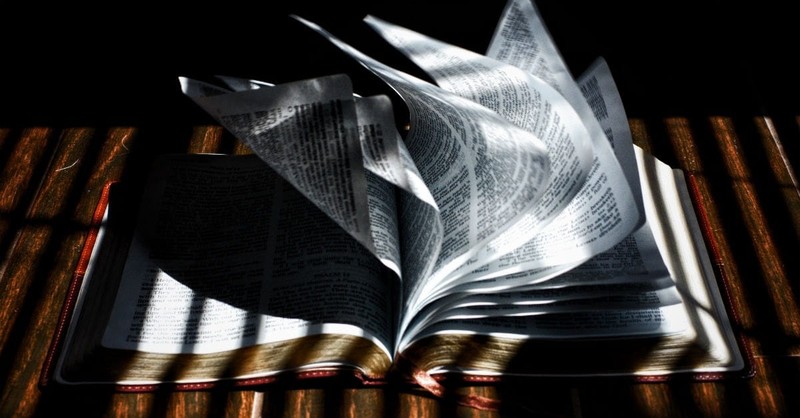 15 Verses that Remind Us, God Has Purpose for Our Lives - to Bring Hope and Light into a Dark World: