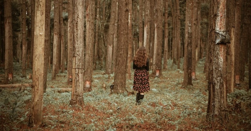 4. Meditate on God’s glory in nature