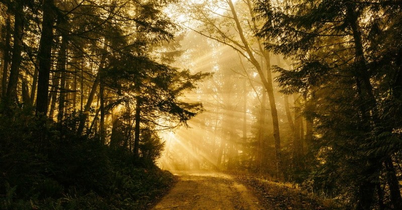 Light filtering through darkness