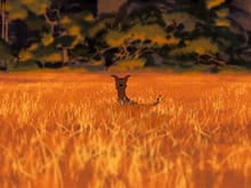Return to Eden in <i>Adam and Dog</i>