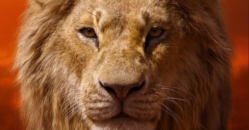 10 Powerful Lion King Quotes That Will Impact Your Faith