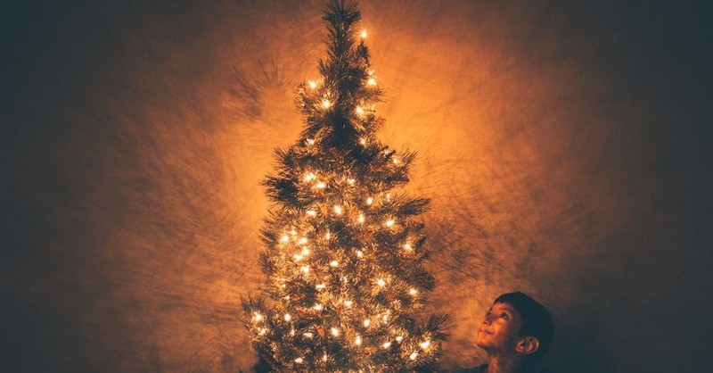 The Ancient Pagan History and Evolving Meaning of the Christmas Tree