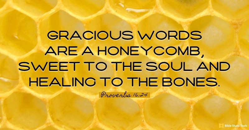 Cultivating a Honeycomb of Gracious Words (Proverbs 16:24) - Your Daily Bible Verse - January 12