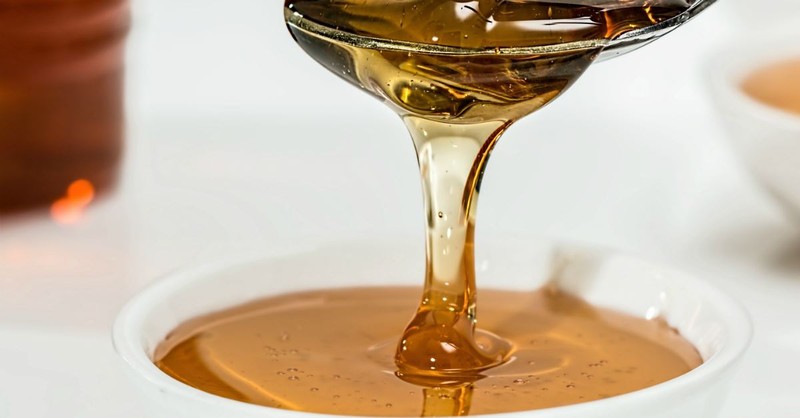 Maple Syrup: A Tasty Unit Study