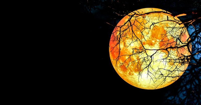 A Super Moon, Blood Moon and Lunar Eclipse All In One Night: Are You Ready?