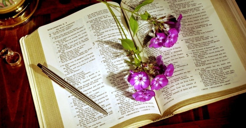 10 Surprising Teachings from Song of Solomon