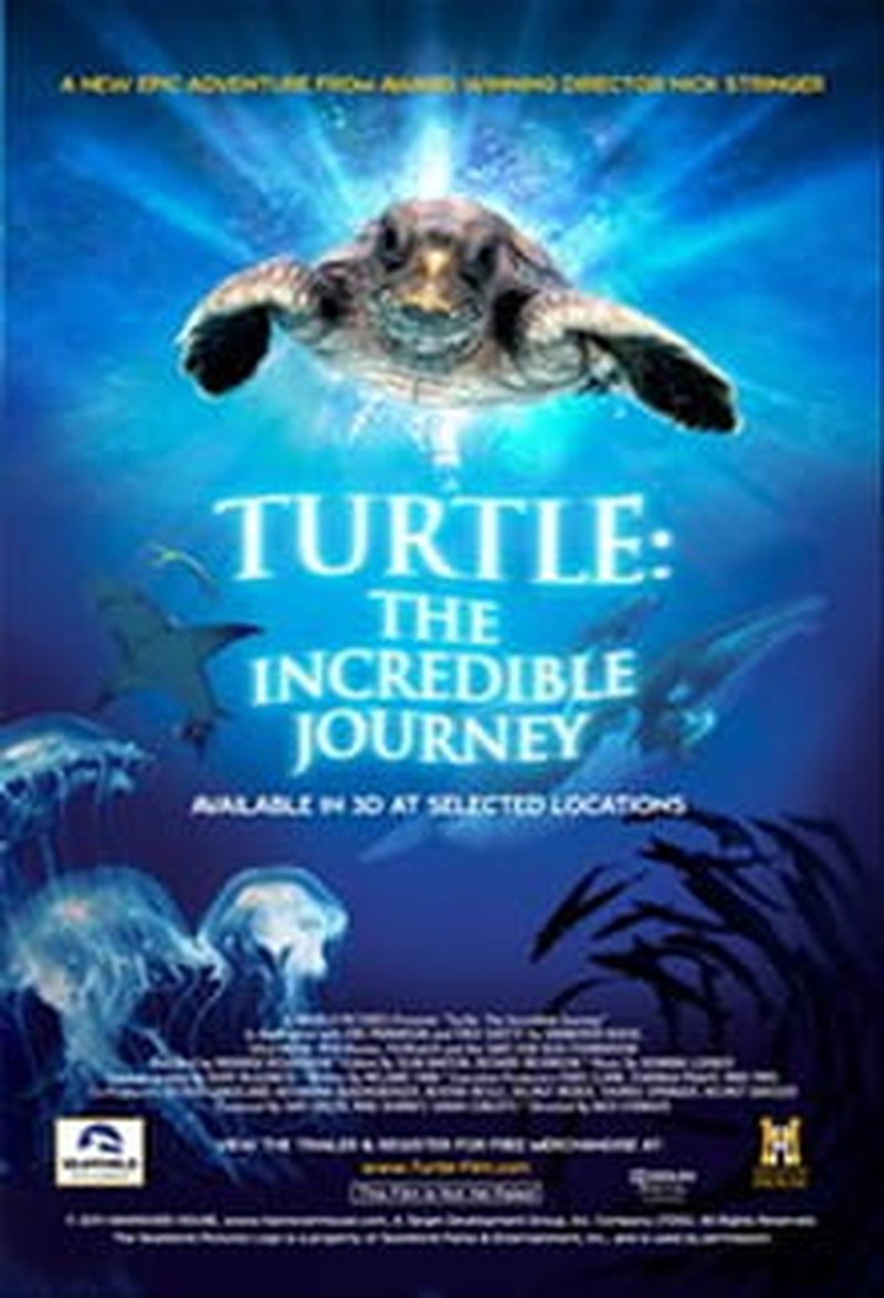 instal the new version for android Way of the Turtle