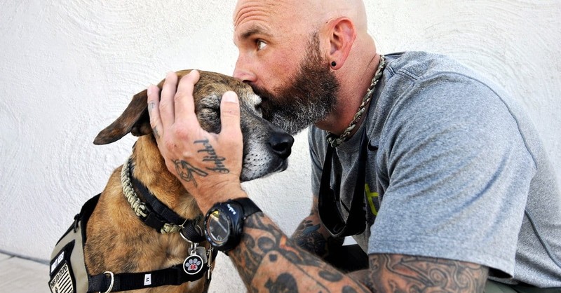 Don't Miss Inspirational New A&E Series <i>Dogs of War</i>