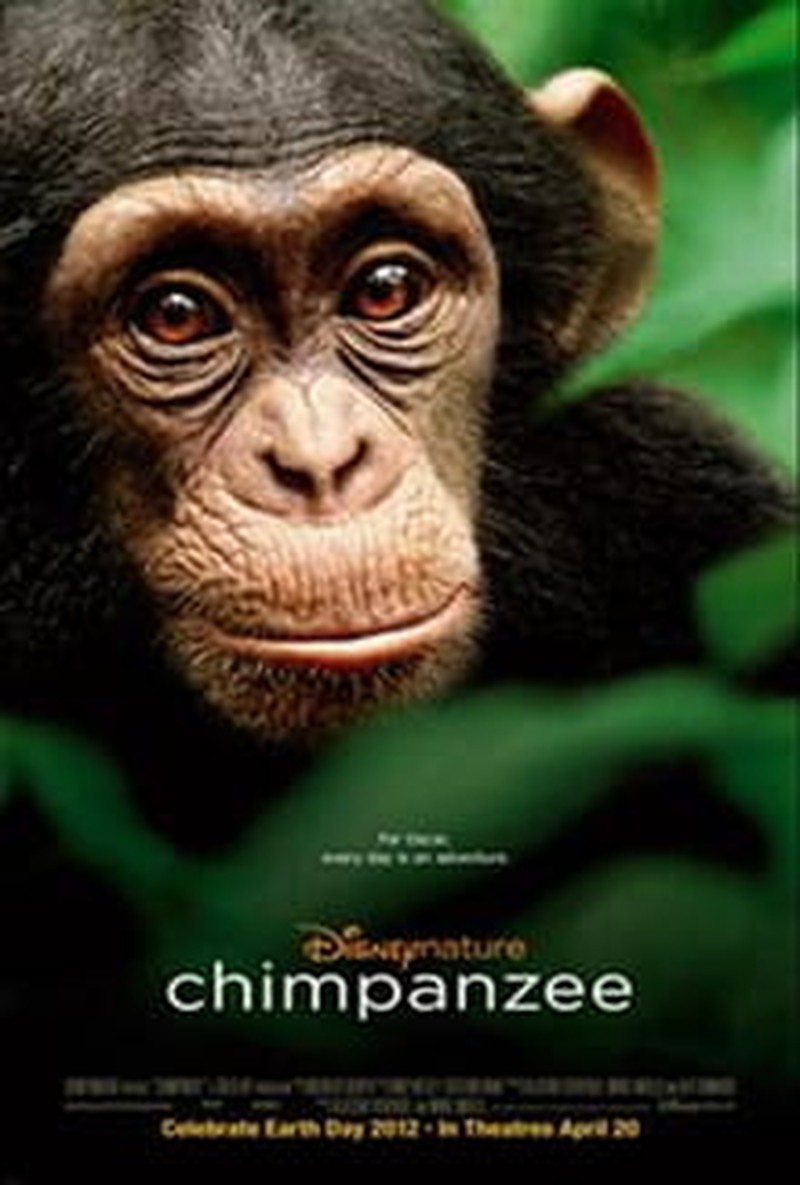 God Writes the Story in <i>Chimpanzee</i>