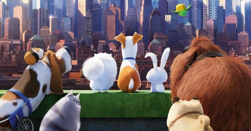 <i>The Secret Life of Pets</i> is Certainly Worth a Peek