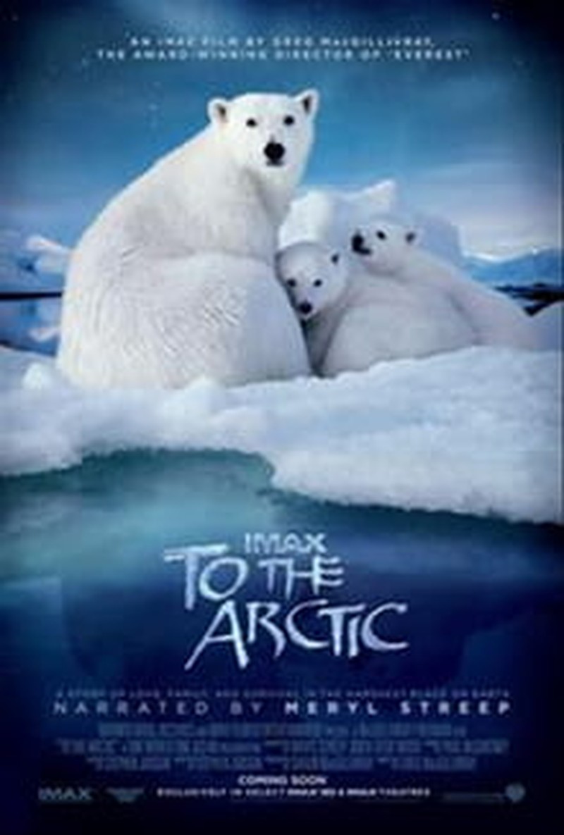 Breathtaking <i>To the Arctic</i> Lacks Focus