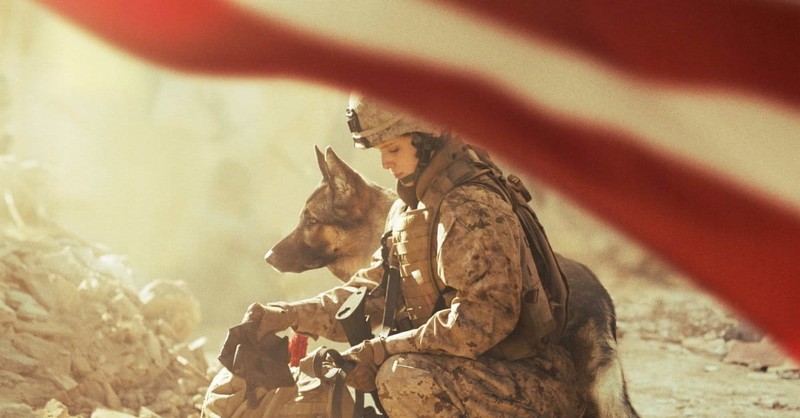 <i>Megan Leavey</i> Bonds with Dog, Not So Much with Viewers